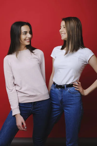 Két Gyönyörű Fiatal Lány Keresi Benne Egy Másik Mosolygós Szemben — Stock Fotó