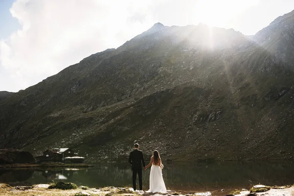 Increíble novio y novia irreconocibles tomados de la mano y mirando —  Fotos de Stock