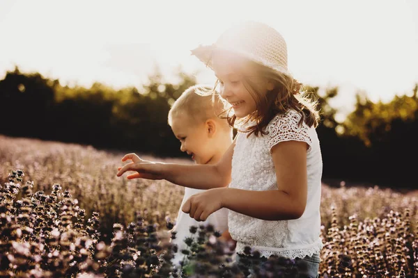Çiçek Tarlasında Kardeşiyle Koşarken Gülen Sevimli Küçük Kız Küçük Bir — Stok fotoğraf
