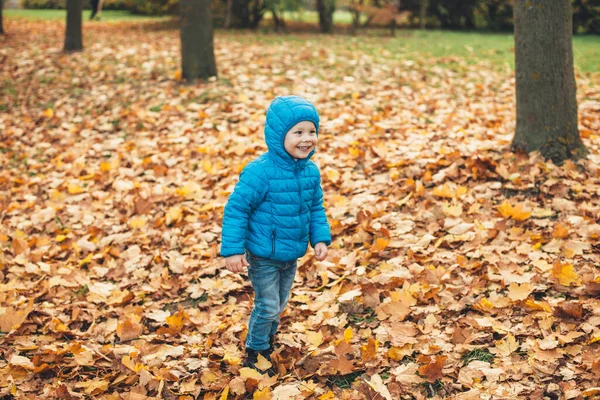 Прекрасный мальчик в голубой одежде ходит в золотых листьях и улыбается кому-то в течение осеннего дня в парке — стоковое фото