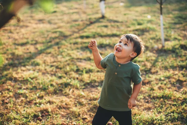 Menino caucasiano feliz olhando para a árvore cheia de emoções enquanto caminhava no parque — Fotografia de Stock