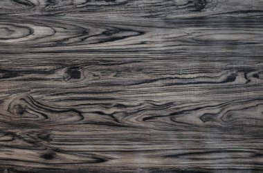 Kahverengi Orman Sırtı ve Dokuları.