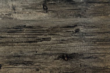 Kahverengi Orman Sırtı ve Dokuları.