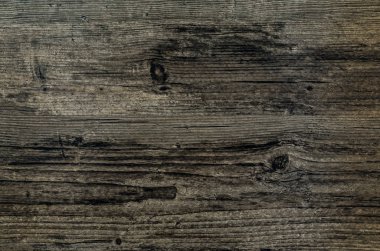 Kahverengi Orman Sırtı ve Dokuları.