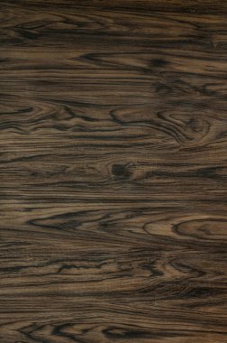 Kahverengi Orman Sırtı ve Dokuları.