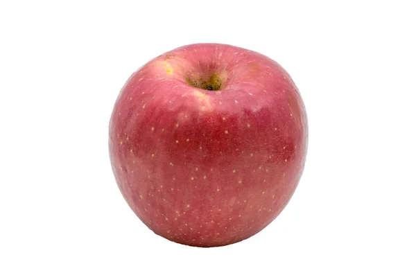 Ein Apfel Isoliert Auf Weißem Hintergrund — Stockfoto