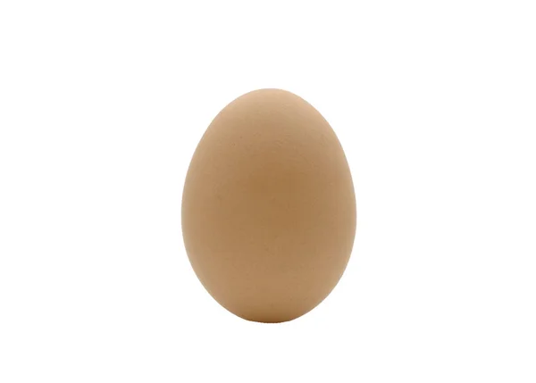 Коричневое Куриное Яйцо Белом Фоне — стоковое фото
