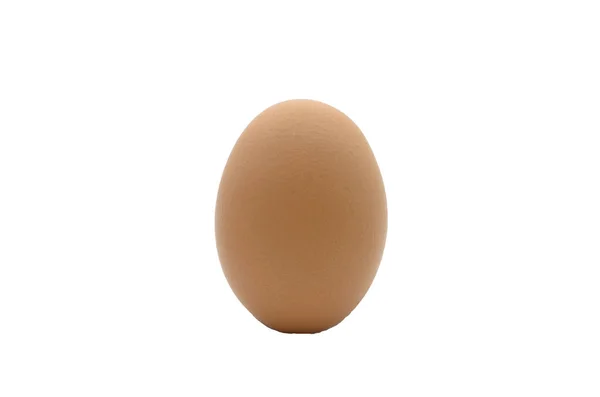 Telur Ayam Coklat Diisolasi Pada Latar Belakang Putih — Stok Foto