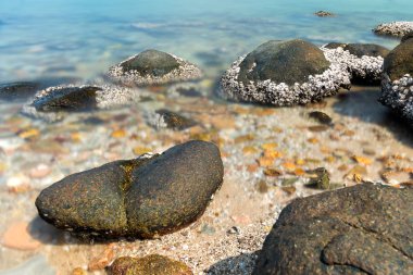 Deniz ve uzun pozlama ile sabah zamanında dalga taş.