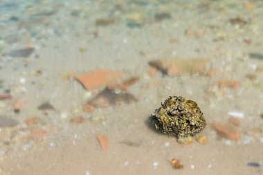 Deniz ve uzun pozlama ile sabah zamanında dalga taş.