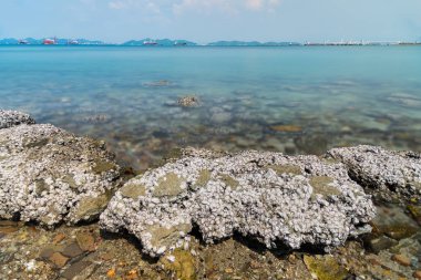 Deniz ve uzun pozlama ile sabah zamanında dalga taş.