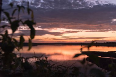 Günbatımı zaman ve alacakaranlık silüeti arka plan ile bulanıklık Leafe.