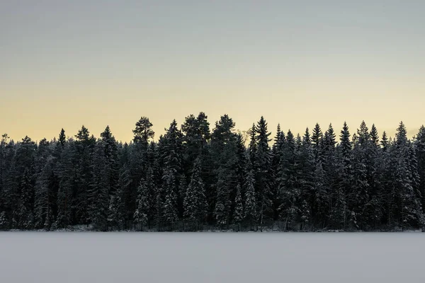 Finlandiya Laponya Kış Mevsiminde Buz Gölündeki Orman Yoğun Kar Gökyüzü — Stok fotoğraf