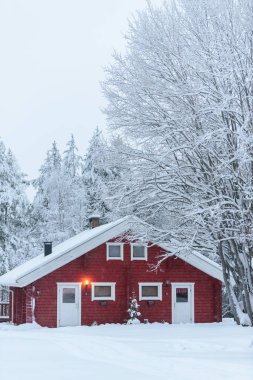 Finlandiya 'daki Holiday Village Kuukiuru' da kış mevsiminde orman yoğun kar ve kötü gökyüzü ile kaplıdır..