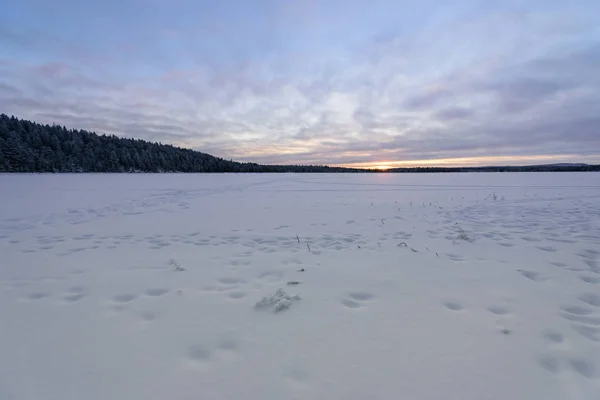 Buz Gölü Finlandiya Nın Oulanka Ulusal Parkı Nda Kış Mevsiminde — Stok fotoğraf