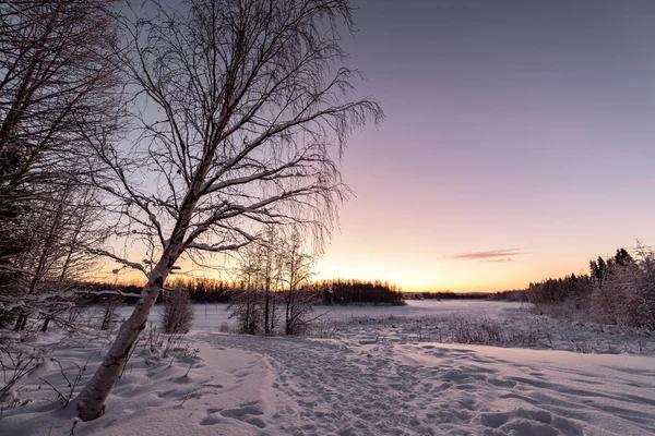 Lac Glace Forêt Ont Recouvert Neige Épaisse Beau Ciel Bleu — Photo