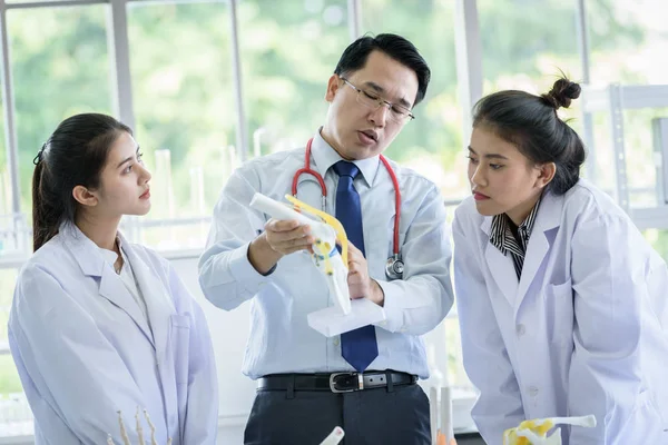 Asiática profesora ha enseñando a los estudiantes acerca de la ciencia y anatómica — Foto de Stock