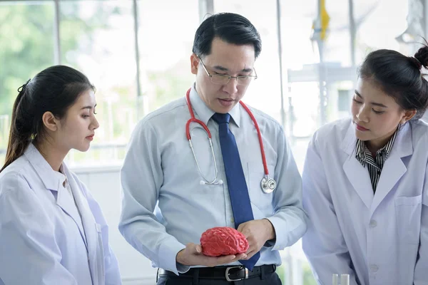 Asiatique enseignant a enseigner aux étudiants sur la science et l'anatomie — Photo