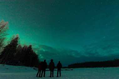 Dört kişi kuzey ışıklarına bakıyor. Aurora Borealis K 'de.