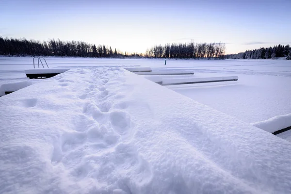 Buz gölü ve orman yoğun kar ve güzel maviyle kaplı. — Stok fotoğraf
