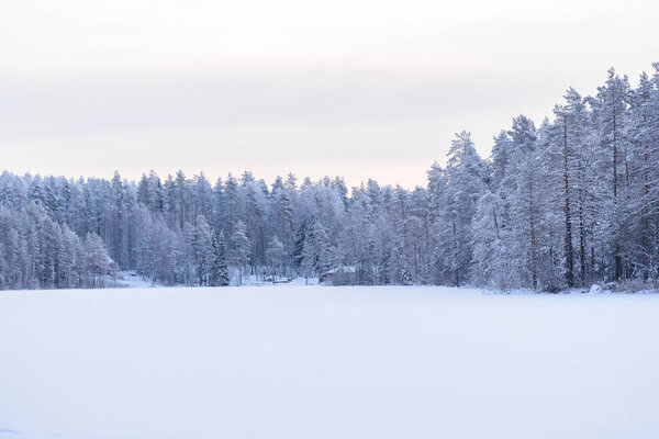 The forest on the ice lake has covered with heavy snow and sky i