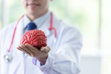 Kıdemli Asyalı bilim adamının elinde beyin modeli var..