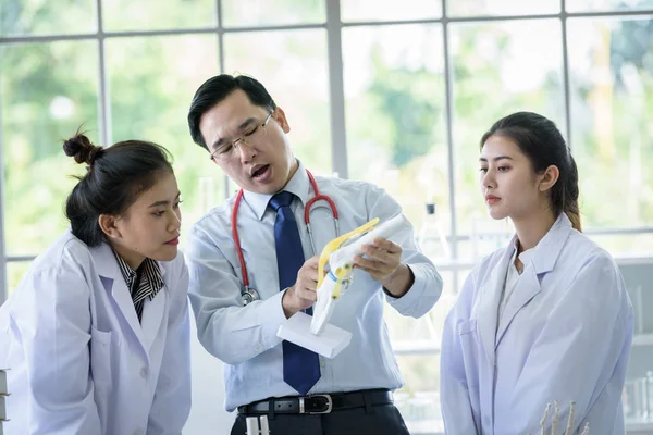 Aziatische leraar heeft onderwijs naar student over wetenschap en anatomische — Stockfoto