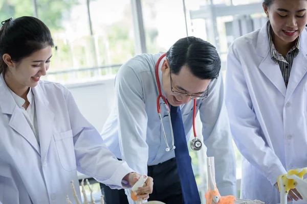 Aziatische leraar heeft onderwijs naar student over wetenschap en anatomische — Stockfoto