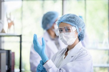 Asyalı bilim adamı ekibi laboratuvarda araştırma yapıyor..