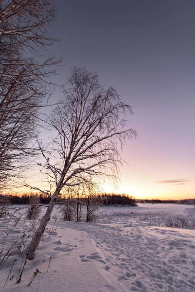 Le lac de glace et la forêt a recouvert de neige épaisse et belle blu — Photo