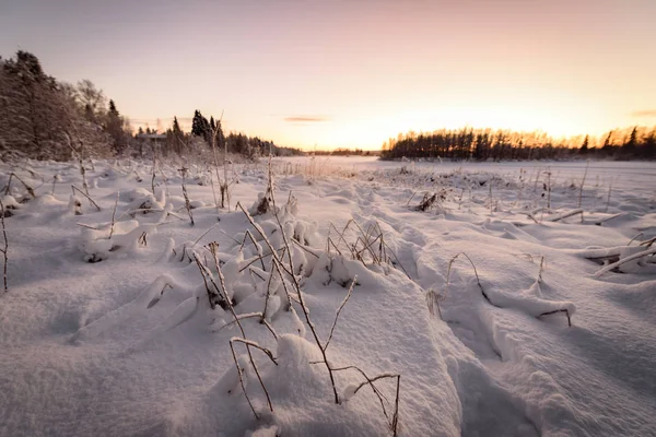 얼음으로 덮인 호수와 숲은 폭설과 아름다운 블 루로 뒤덮여 있습니다 — 스톡 사진