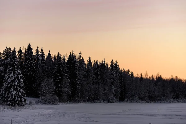 Der Eissee und der Wald sind mit starkem Schnee und Sonnenuntergang bedeckt. — Stockfoto