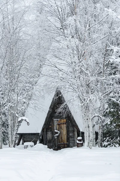 The house in the forest has covered with heavy snow and bad sky