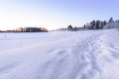 Buz gölü ve orman yoğun kar ve güzel maviyle kaplı.