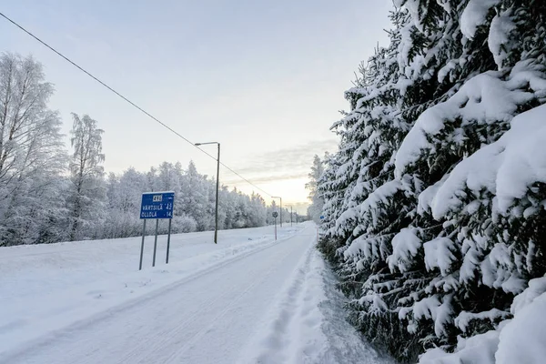 Lapla 'da kış mevsiminde orman yoğun karla kaplıdır.