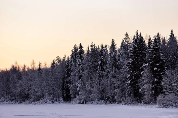 Buz gölü ve orman yoğun kar ve gün batımıyla kaplıdır. — Stok fotoğraf