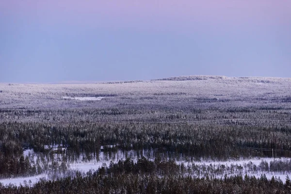 울창 한 숲에 는 눈 과 일몰 하늘이 덮여 있다 — 스톡 사진