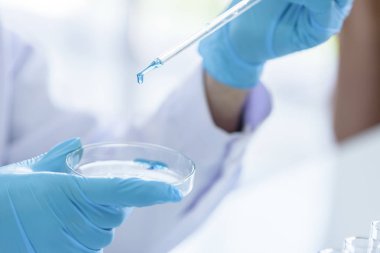 Bilim adamının laboratuvarda test ve araştırmaları var..