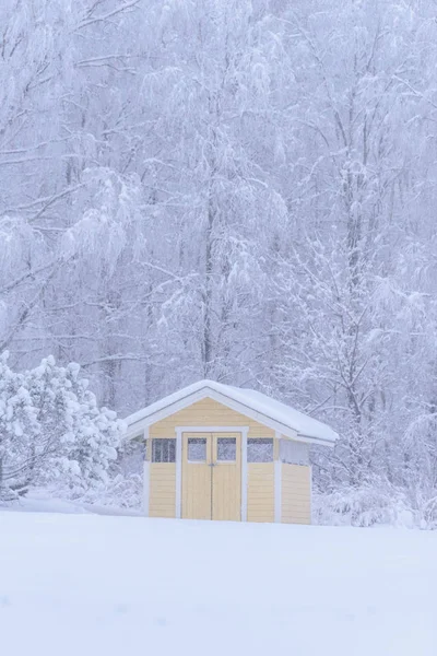 Żółty dom w lesie pokryty jest dużym śniegiem i b — Zdjęcie stockowe