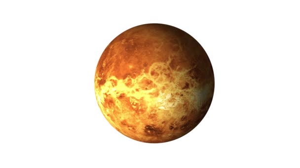 Sonnensystem Planet Venus Rotiert Auf Weißem Hintergrund Isoliert Videomaterial Elemente — Stockvideo