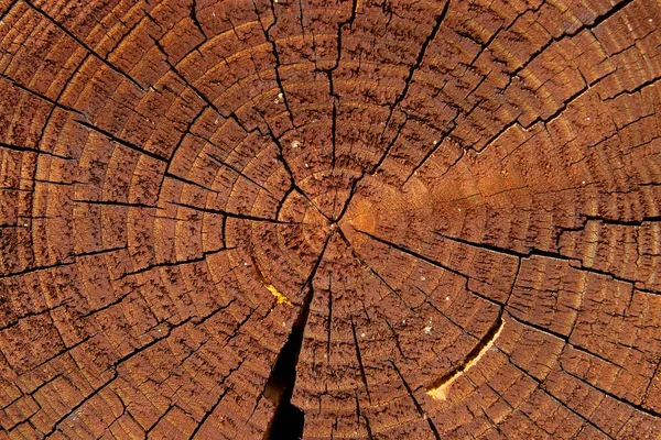 Avsnitt av trä täckt med rött lack — Stockfoto