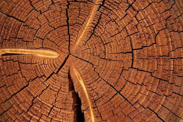 Abschnitt aus Holz mit rotem Lack überzogen — Stockfoto