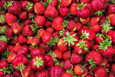 Kırmızı olgun çilek