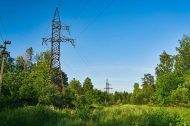 Ormanda eski paslı güç hattı