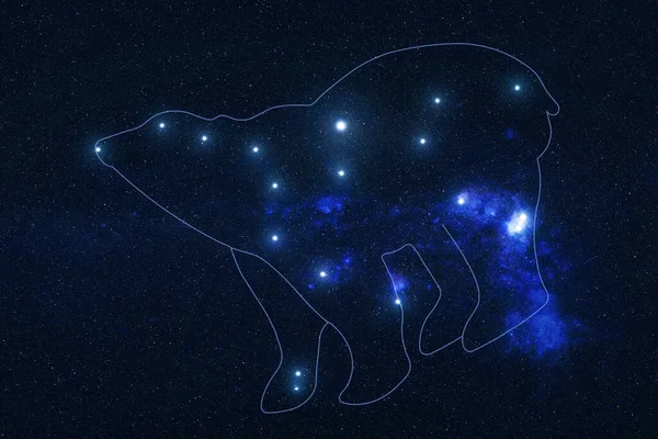 Ursa Mayor Constelación Estrellas Espacio Exterior Con Forma Oso Líneas —  Fotos de Stock