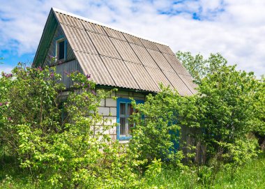 Güneşli mavi bir gökyüzünün altındaki çim ve çalılıklarda terk edilmiş eski bir köy evi. Yüksek kalite fotoğraf