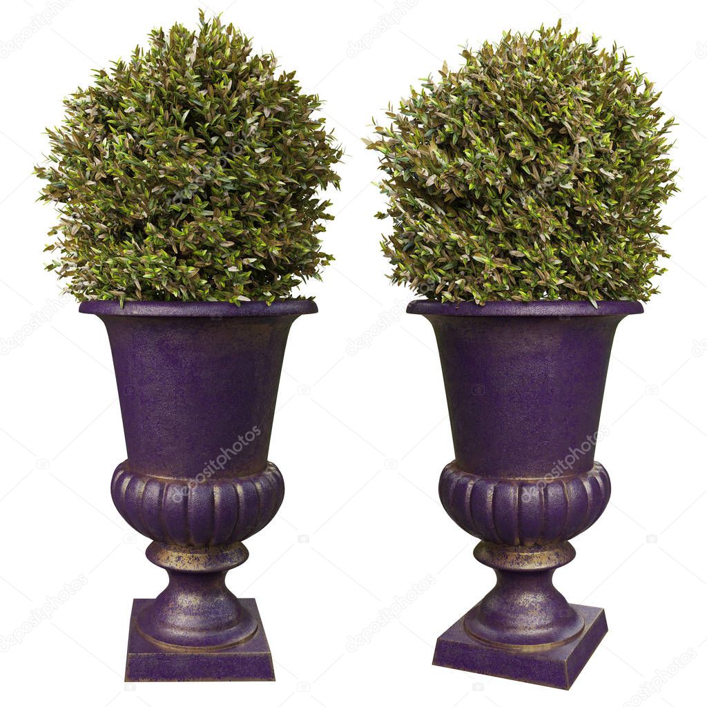 Decorative flowerpots for parks and entrance groups of houses.