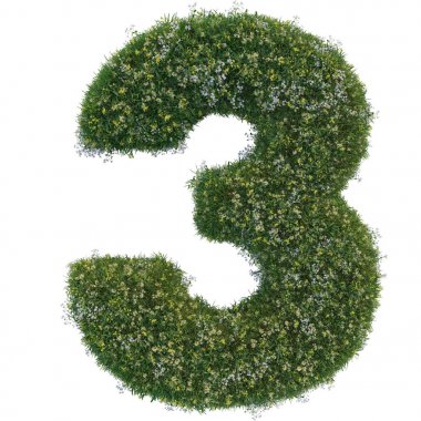 Çim ve çiçek numaraları