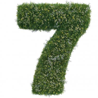 Çim ve çiçek numaraları