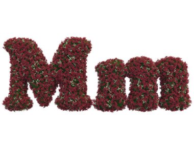 yaprak ve çiçek yapılmış mektupları